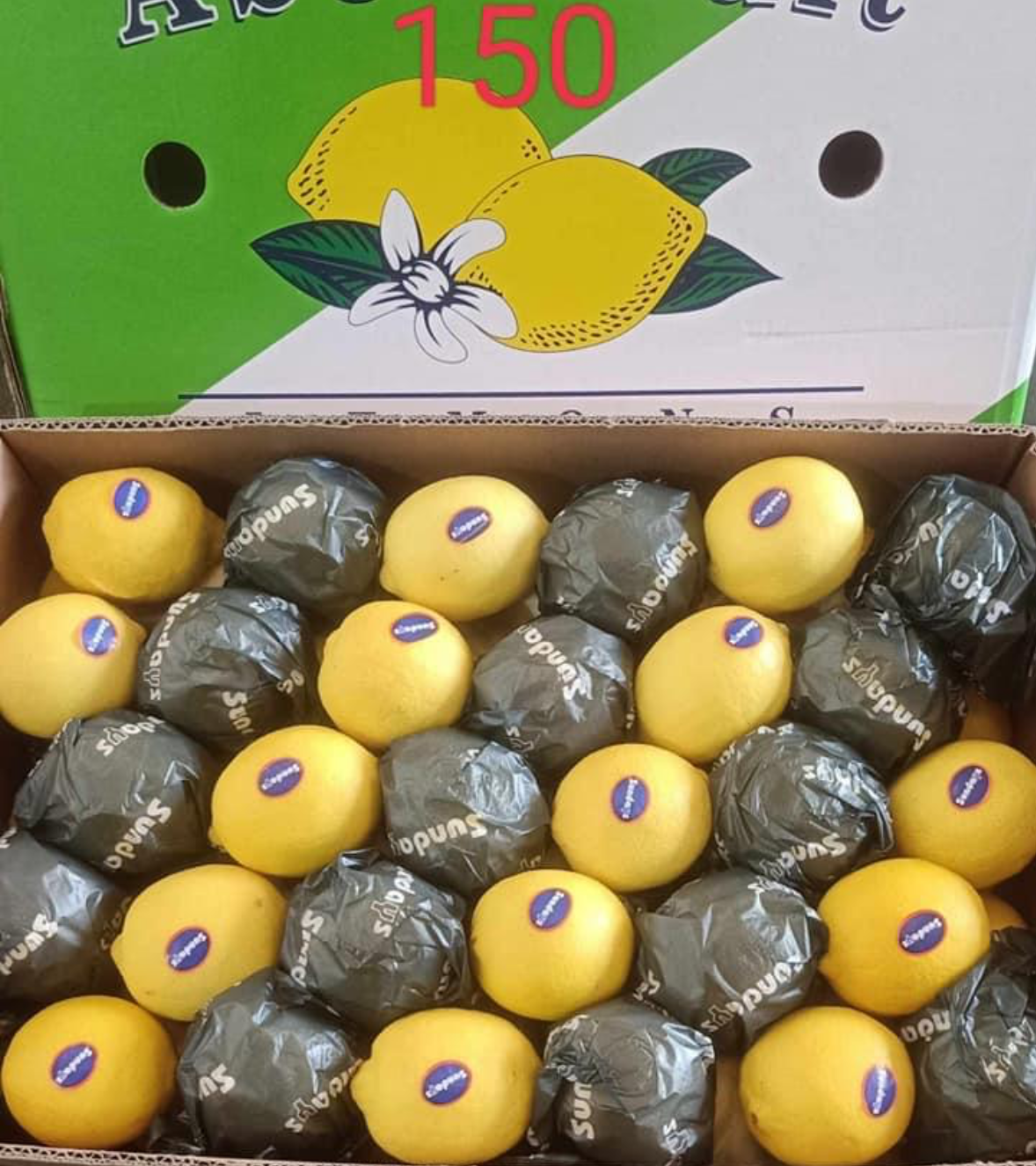 lemon